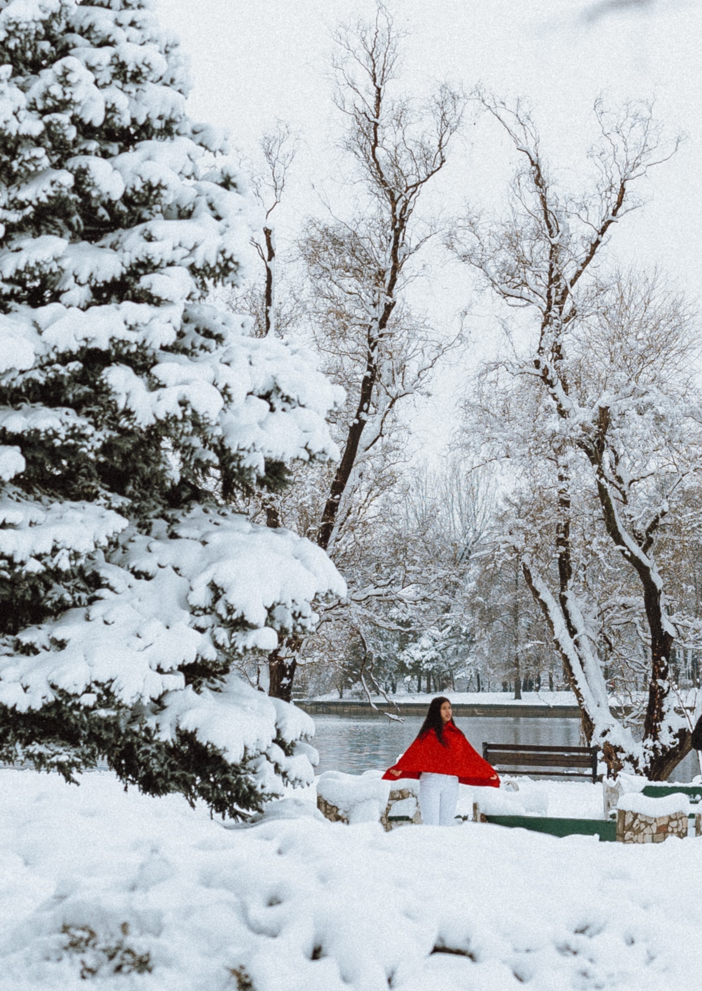 Winter Series