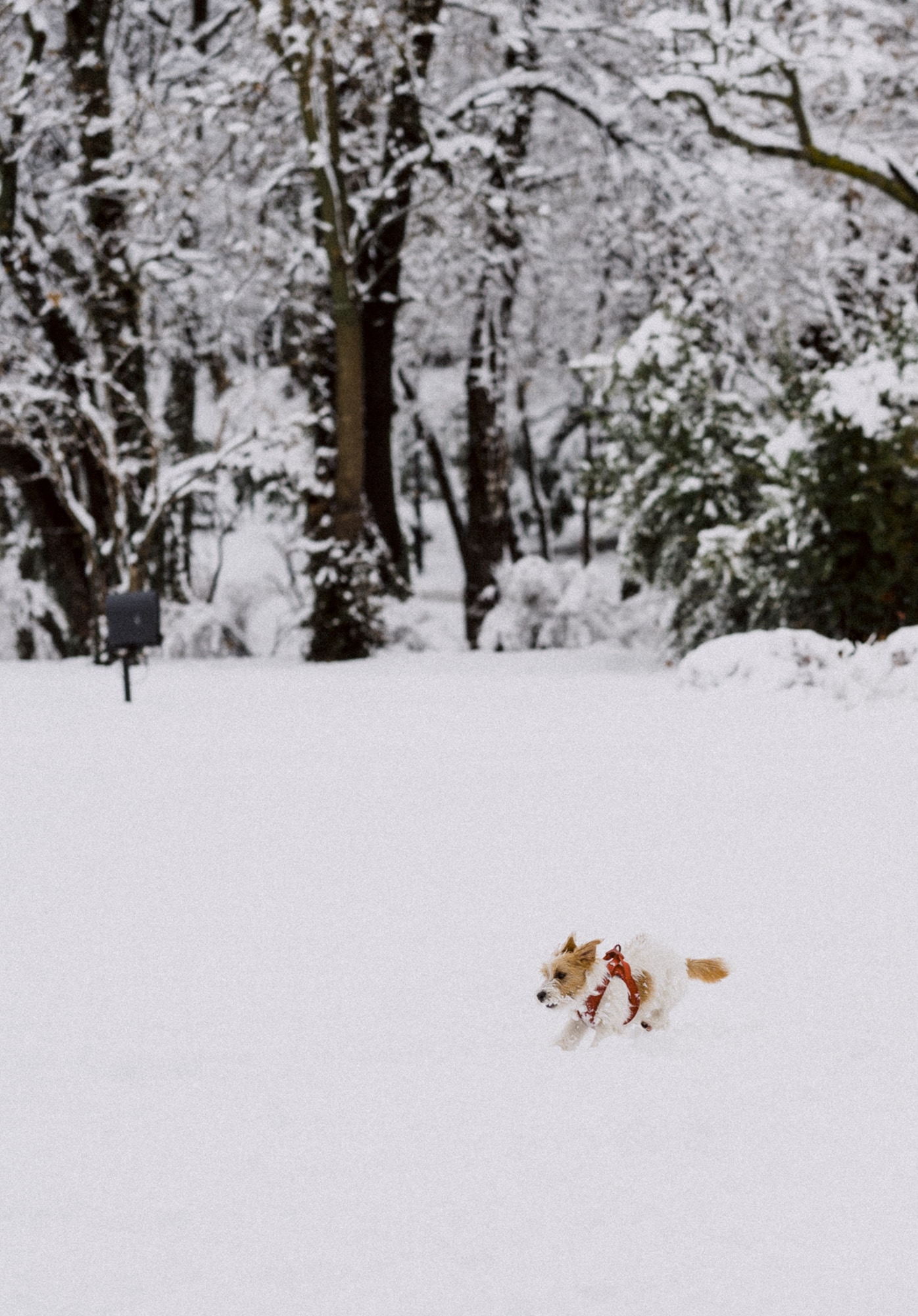Winter Series