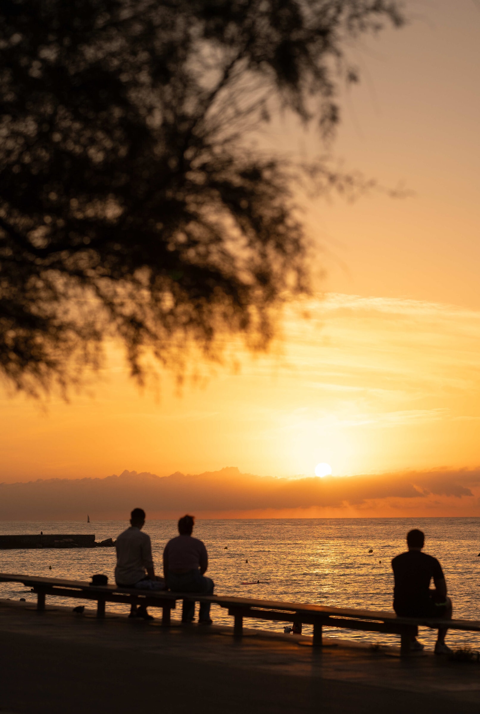 Sunrise Series