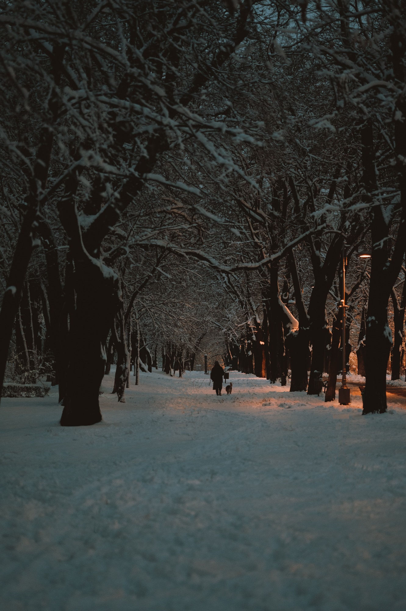 Winter Series